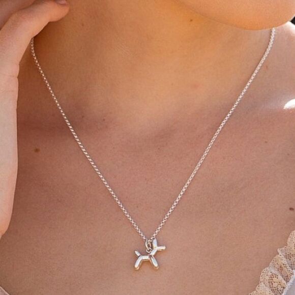 Anthropologie Jewelry - Silver dog necklace #235